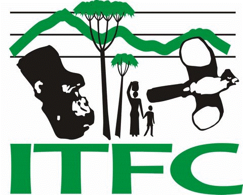 Institute of Tropical Forest Conservation